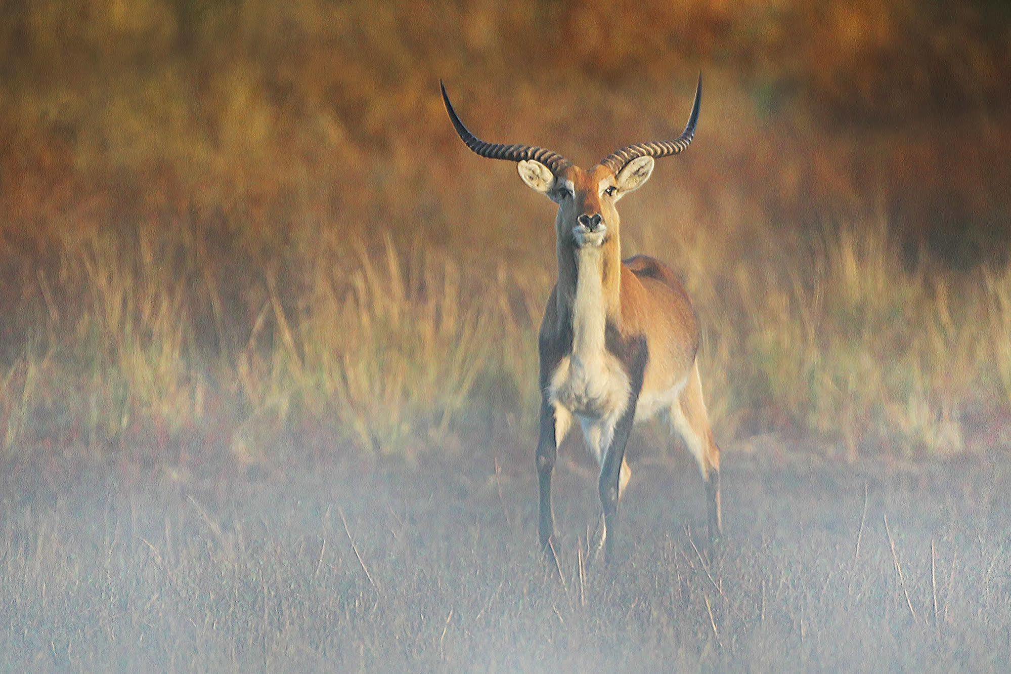 Bona Bona Game Lodge Wolmaransstad Bagian luar foto