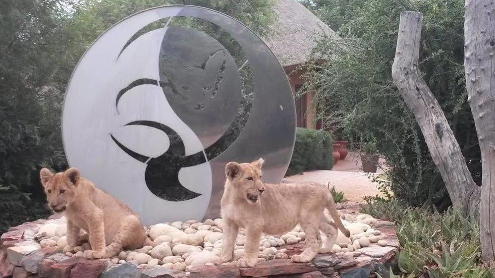 Bona Bona Game Lodge Wolmaransstad Bagian luar foto